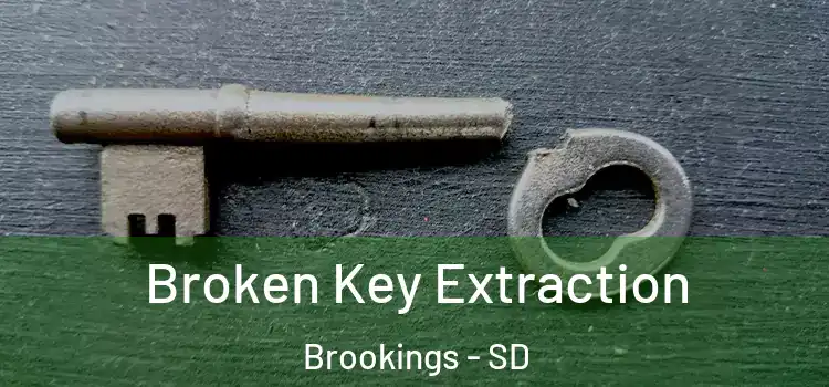  Broken Key Extraction Brookings - SD