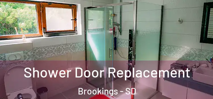 Shower Door Replacement Brookings - SD